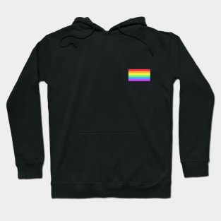 LGBTQ design for all the Gay pride lovers Hoodie